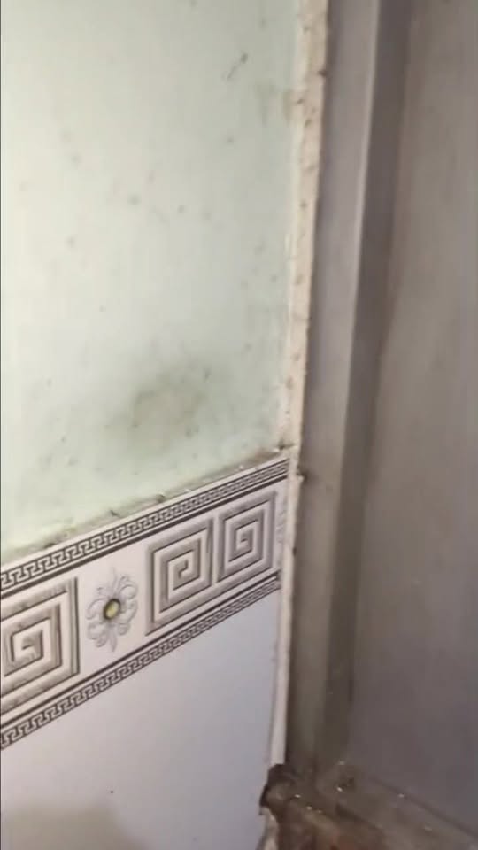 Nhà Sổ Chung Nhơn Trạch 165m² - 750 Triệu, Sẵn Sàng Vào Ở Ngay