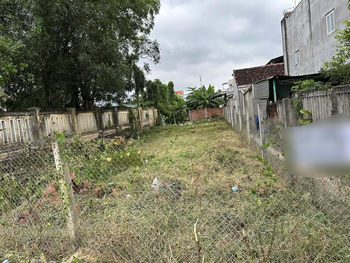 Đất nền mặt tiền Nguyễn Đình Chiểu, Quảng Ngãi 350m² - Sổ đỏ chính chủ!