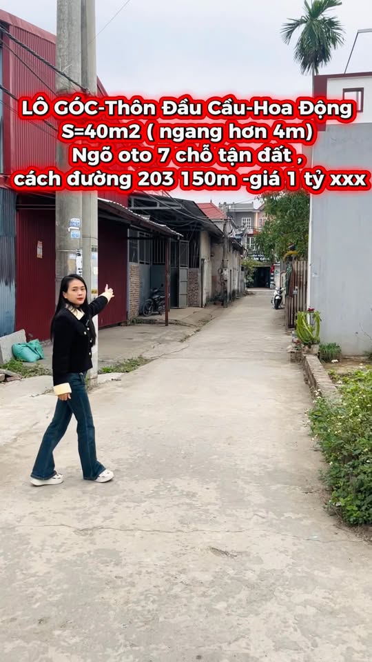 Đất nền Hoa Động Thủy Nguyên 40m² giá 1 tỷ - Lô góc cực đẹp!