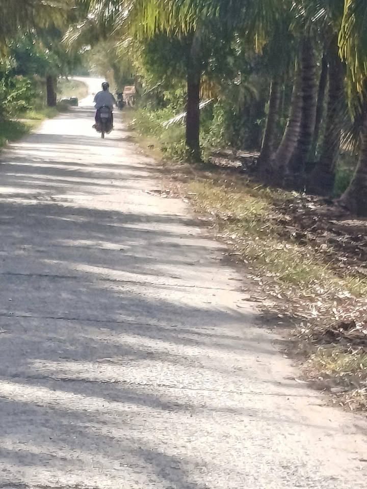 Đất Vườn An Giang 4000m² - Sổ Hồng Chính Chủ, Giá Tốt