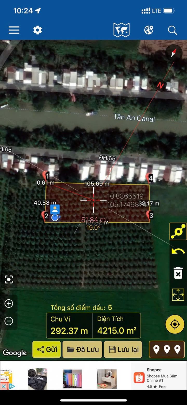 Đất Vườn Xoài 4200m² An Giang - Sẵn Sàng Thu Hoạch, Gần KDC Tân Thạnh