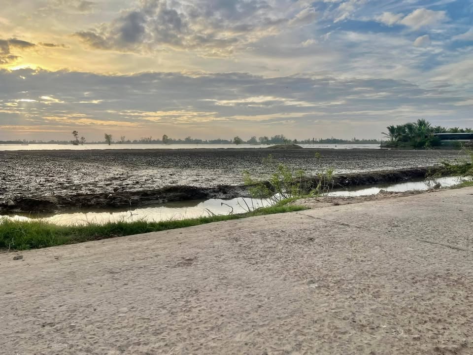 Đất Vườn An Giang 2053m² Mặt Tiền Đường Lớn - Giá Đầu Tư 3xx Triệu/Công