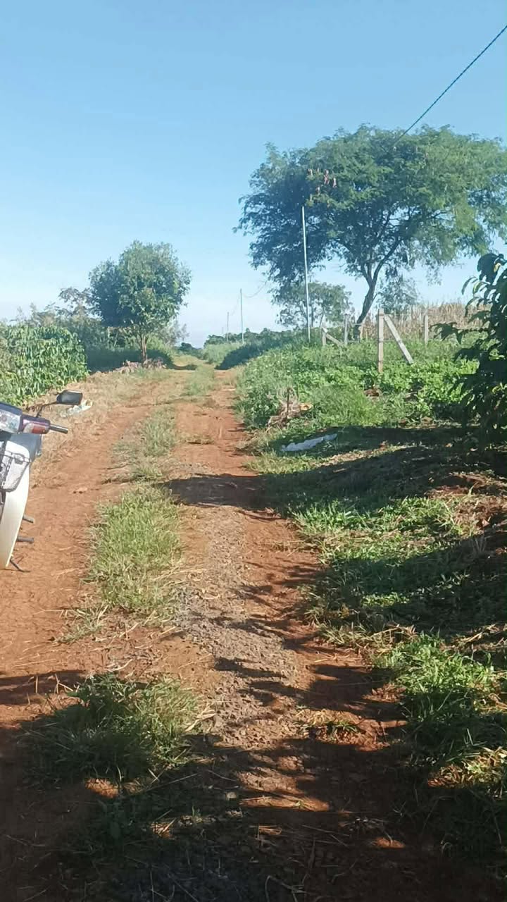 Đất nền Di Linh 1000m² giá 860 triệu - Sổ đỏ chính chủ, quy hoạch full thổ cư!