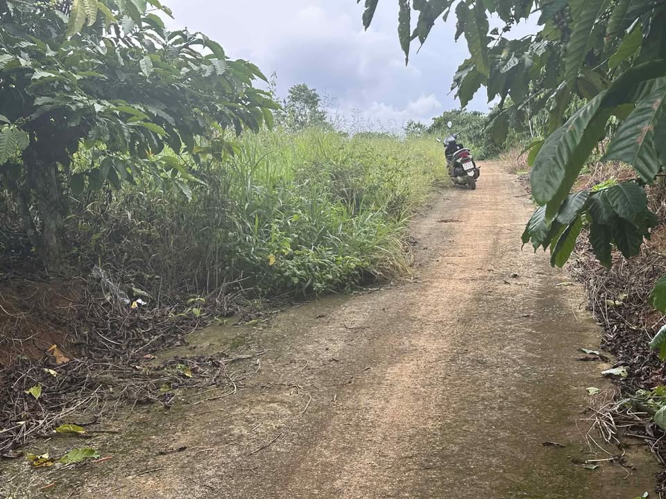 Đất Vườn Di Linh 720m² Giá 950 Triệu - Nghỉ Dưỡng Lý Tưởng!