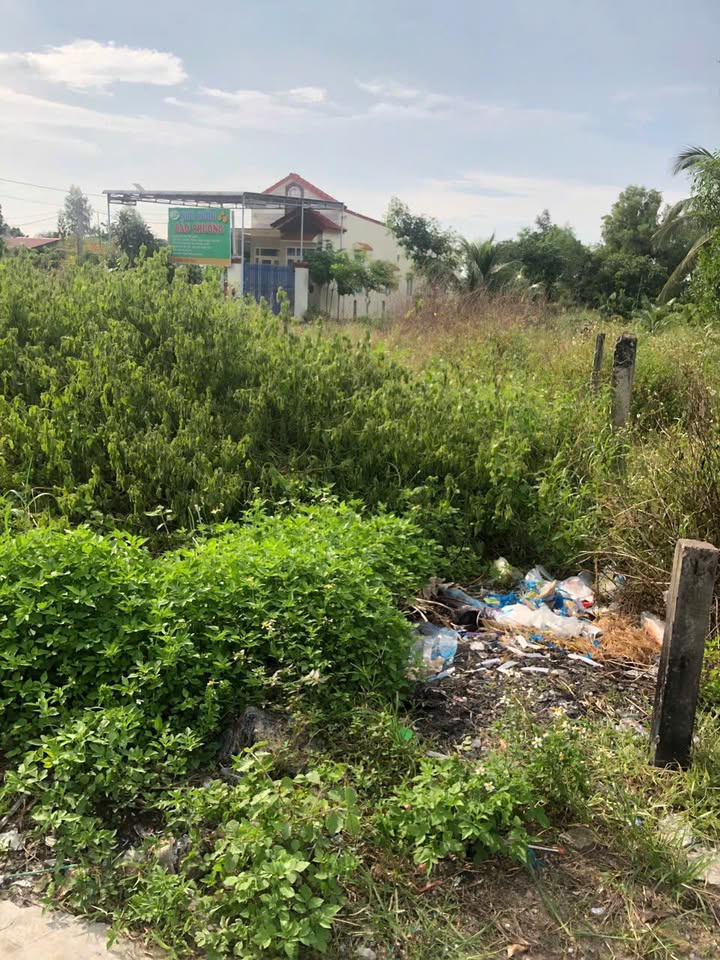 Đất 2 Mặt Tiền Nguyễn Tri Phương La Gi 252m² - Cơ Hội Đầu Tư Vàng