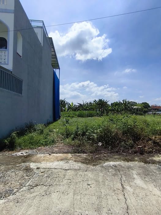 Bán Đất Thổ Cư 124m² Hóc Môn - Giá 3.45 Tỷ, Sẵn Sổ Hồng