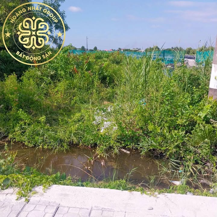 Đất Mặt Tiền Lộ Cái Nước – Cái Đôi Vàm, Cà Mau - 164m² Giá 800 Triệu