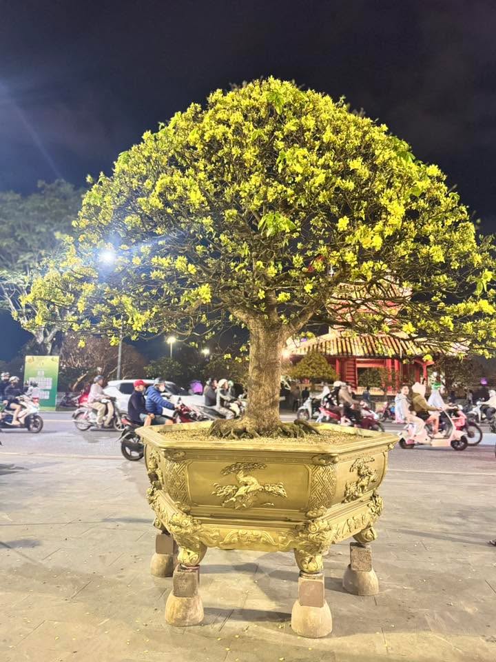 Nhà Phố Mặt Tiền Minh Mạng Huế 270m² - Đầu tư sinh lời!