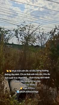 Đất nền Định Thành, Dầu Tiếng 650m² - Sổ đỏ chính chủ, đường ô tô!