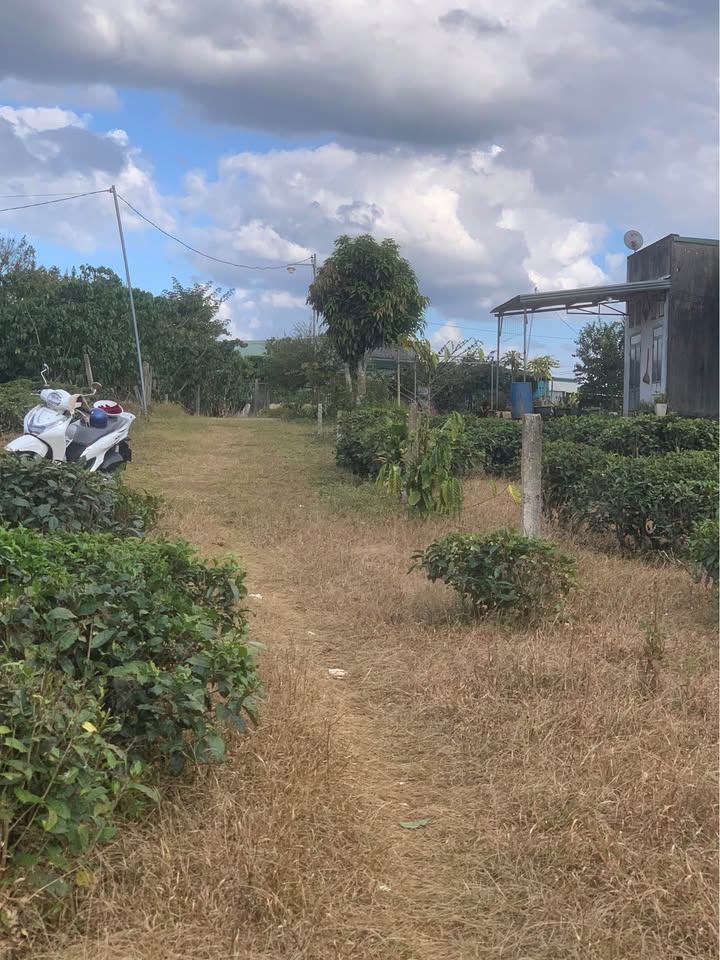 Đất Hẻm 322 Hàm Nghi Lộc Thắng - 140m² - Sổ Đỏ Rõ Ràng