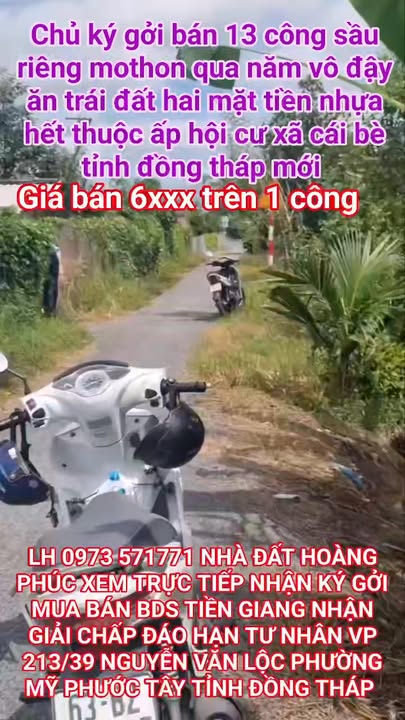Vườn Sầu Riêng Mỹ Hội, Cái Bè 1.3ha - Đầu tư sinh lời bền vững!