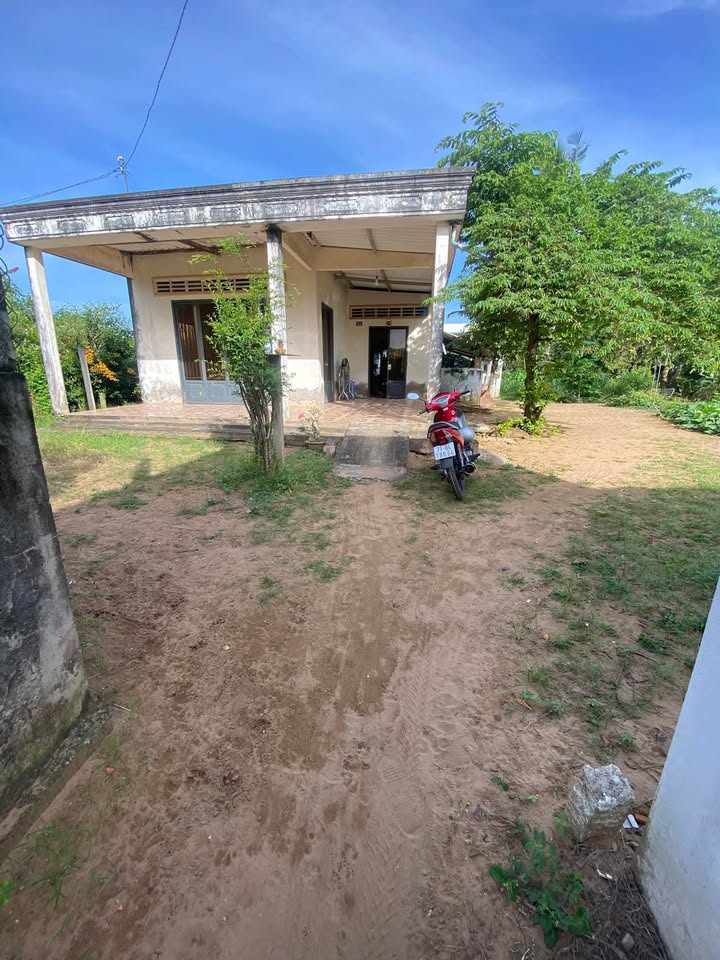 Đất nền Ấp Hội An Mỏ Cày Nam 635m² - Sổ đỏ chính chủ!