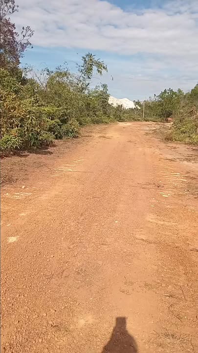 Đất Nông Nghiệp Đắk Glong 9ha Giá Tốt - Sổ Đỏ Trao Tay