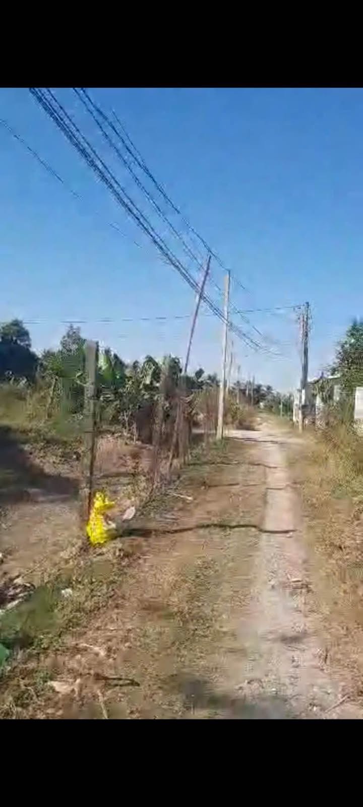 Đất Nền Long Hoa 584m² Sổ Hồng - Tiềm Năng Đầu Tư Hấp Dẫn