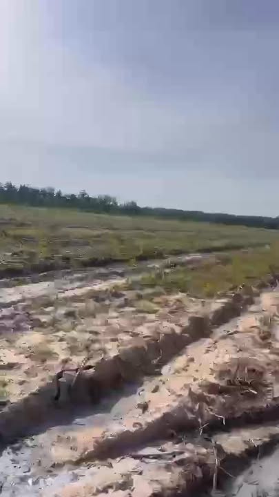 Bán Gấp 1.2ha Đất Vườn Tân Lập, Tây Ninh - Giá Đầu Tư 11.4 Tỷ