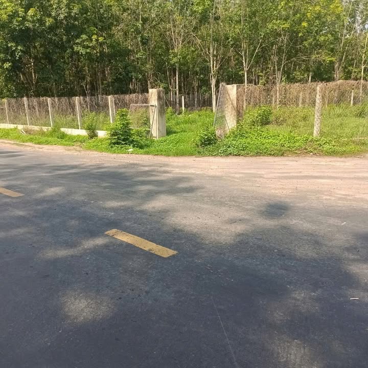 Đất nền Phường Ninh Sơn, TP Tây Ninh 580m² - Sổ đỏ chính chủ, 2 mặt tiền!