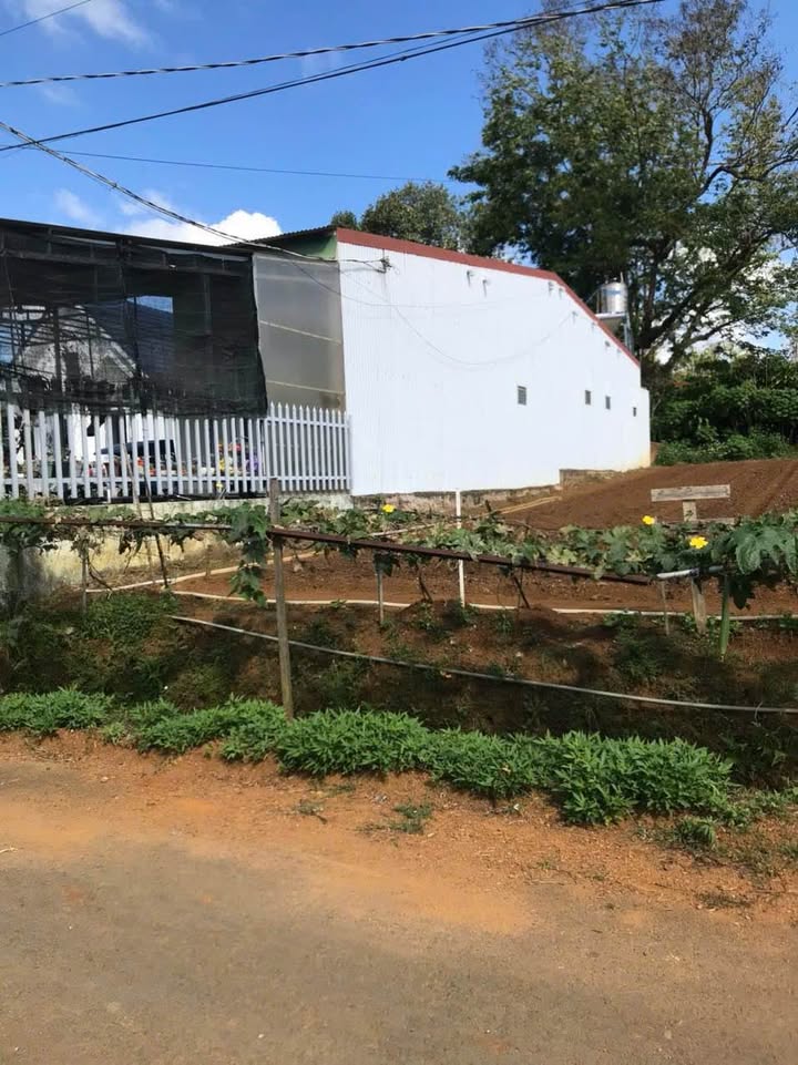 Bán đất hẻm Chi Lăng B'lao Bảo Lộc 300m² giá 2.6 tỷ - Sổ đỏ chính chủ