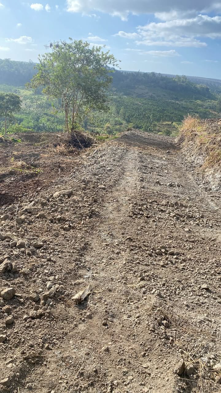 Bán Đất Vườn Krông Năng 1.4ha Giá Rẻ - Nghỉ Dưỡng Lý Tưởng!