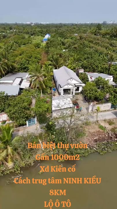 Biệt Thự Sân Vườn 955m² Cái Răng - Ô Tô Tới Nhà, View Sông Đẹp