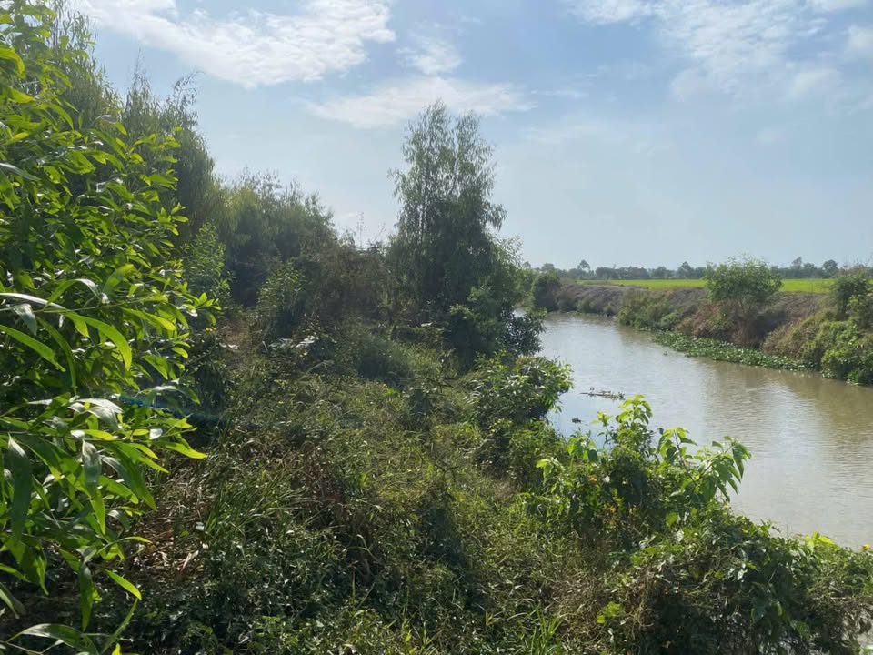 Bán gấp 1.3 hecta đất farm mặt tiền sông Kiên Hảo, Kiên Giang - Giá đầu tư 3.2 tỷ