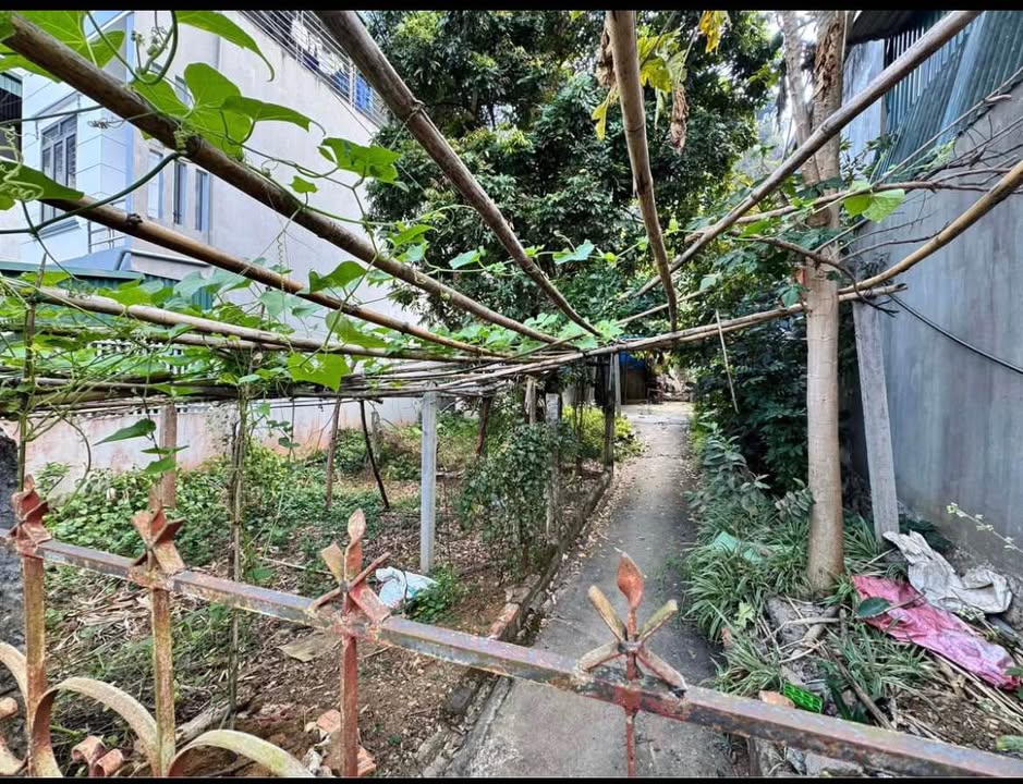 Đất nền Sơn La 100m² - Đường to ô tô, sổ đỏ sẵn sàng!