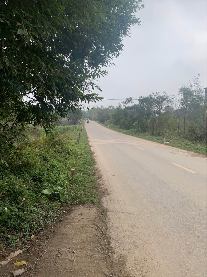 Đất Tái Định Cư Ba Vì 397m² - Sổ Đỏ Full Thổ Cư - Đường Nhựa 15m