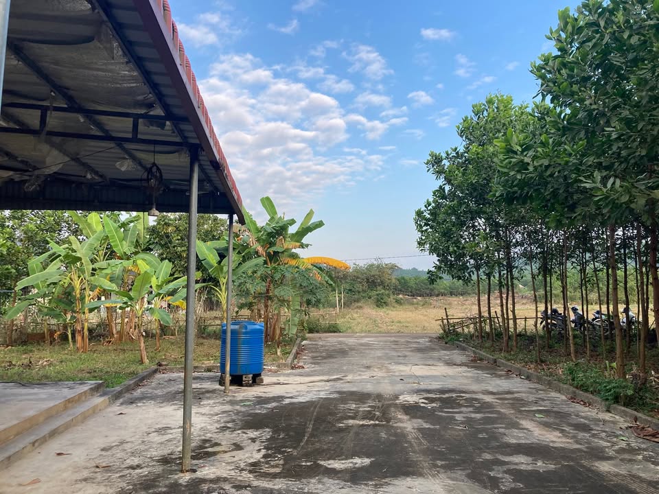 Đất Nền Tân Lạc 2764m² View Ruộng Bậc Thang - Giá Đầu Tư F0