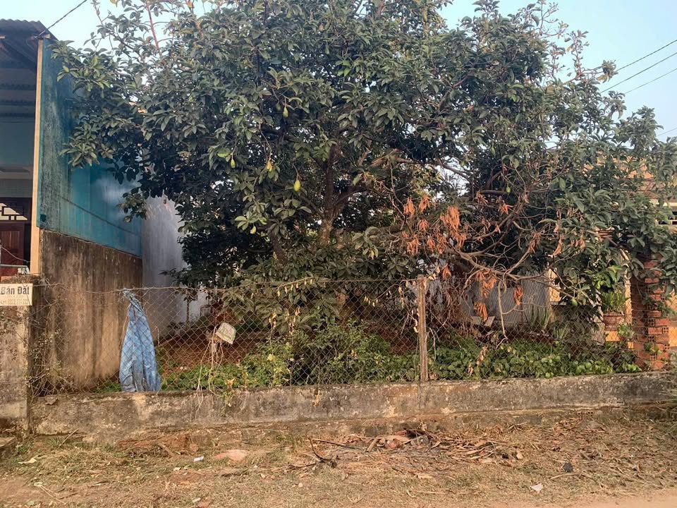 Đất nền Xuân Thiện, Thống Nhất 162.5m² - Sổ hồng chính chủ, tiềm năng tăng giá!
