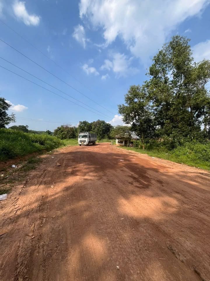 Đất nền Hố Nai 3 Trảng Bom 4.2ha - Sổ đỏ chính chủ, Đường to ô tô!