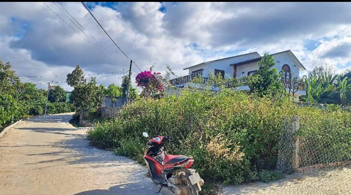 Đất nền Ninh Gia, Đức Trọng 250m² - Sổ hồng chính chủ, bán nhanh!