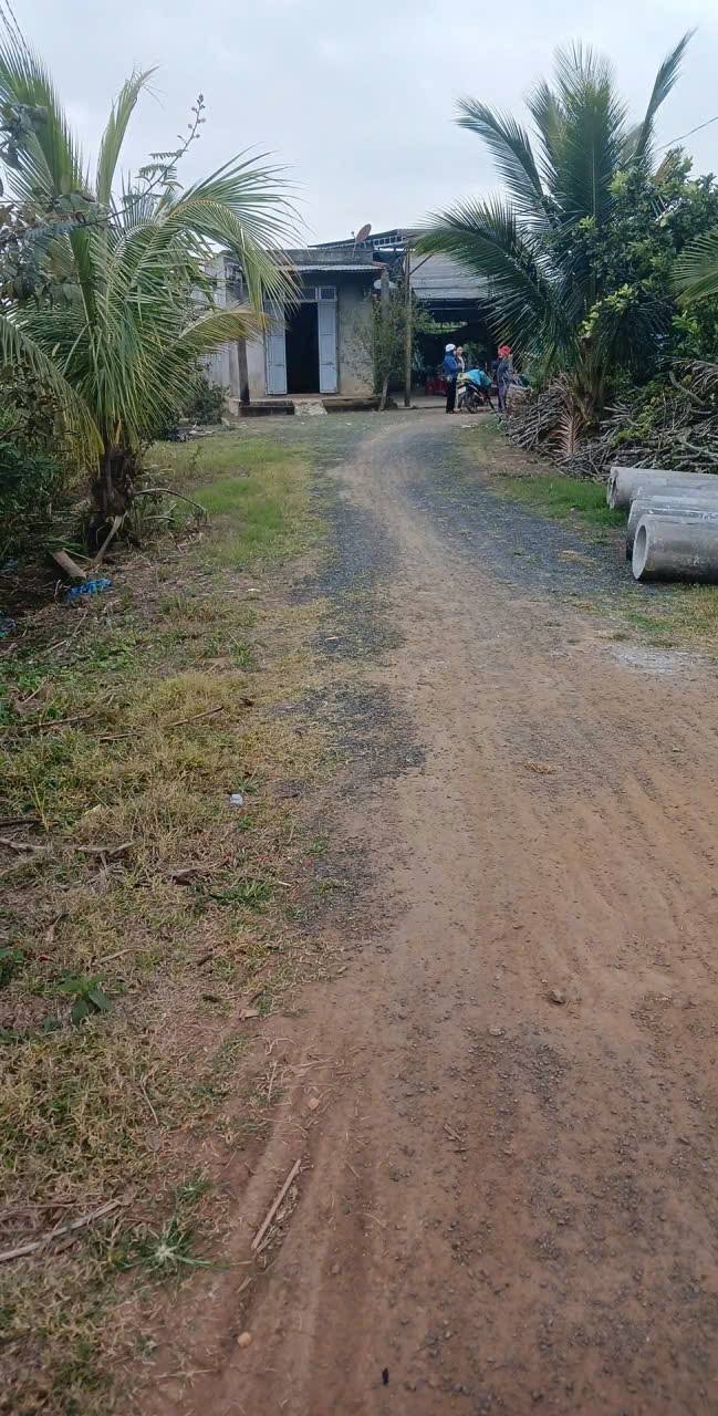 Đất nền Quốc lộ 29 Đắk Lắk 1050m² - Sổ đỏ sẵn sàng, đầu tư sinh lời