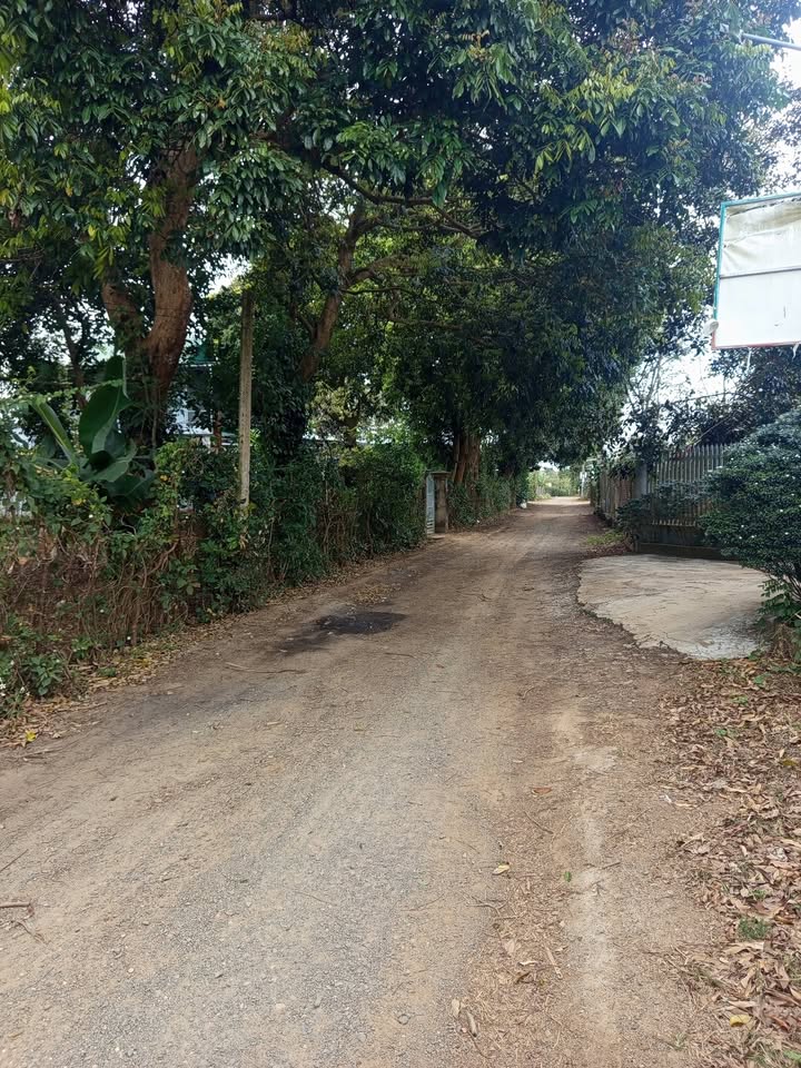 Đất nền Ea Kar 620m² giá 920 triệu - Đường ô tô, tiềm năng sinh lời!