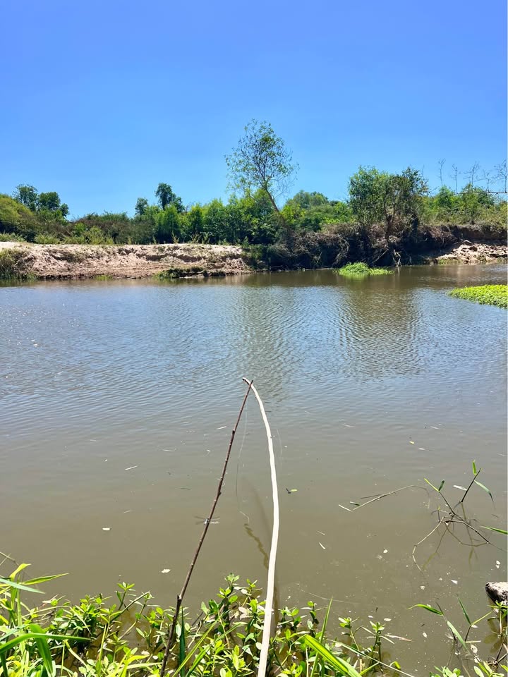 Đất nền Suối Cát Phan Thiết 570m² 1.3 tỷ - Pháp lý rõ ràng