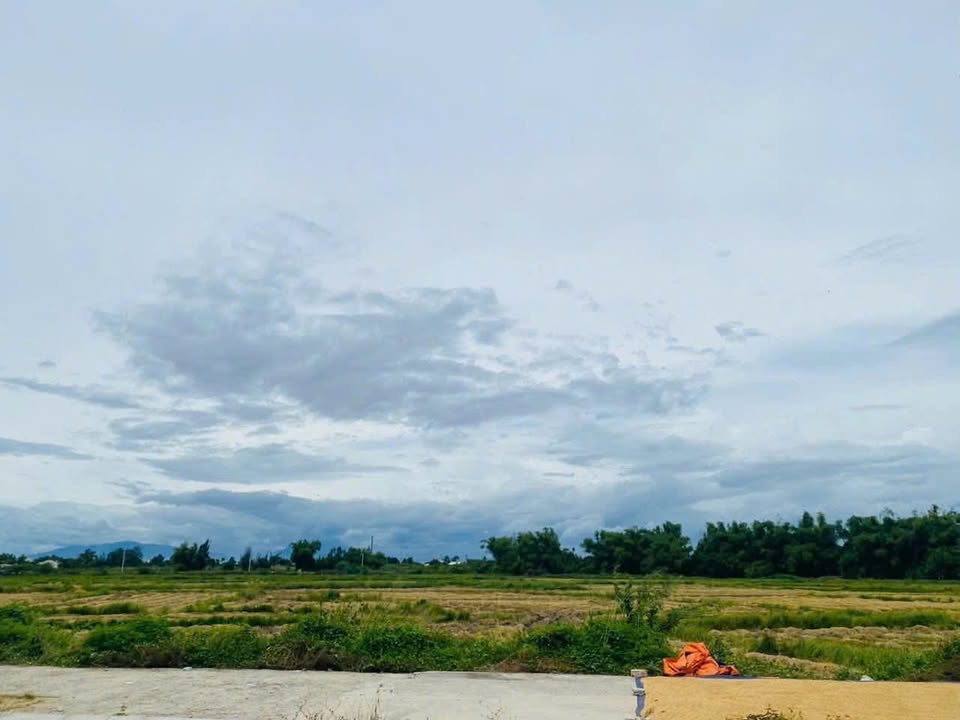 Đất Nền Điện Bàn 150m² View Đồng Lúa - Chỉ 4 Tỷ, Cách Phố Cổ 800m