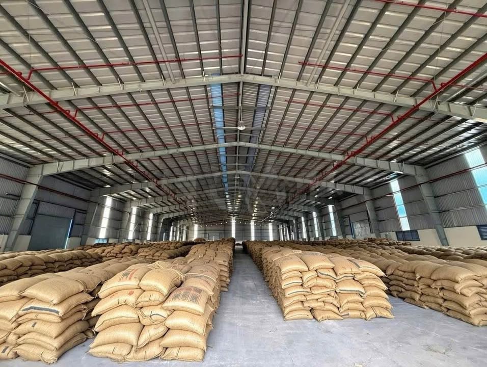 Thuê Kho KCN Trà Nóc 6000m² - Container 40ft Hoạt Động 24/7