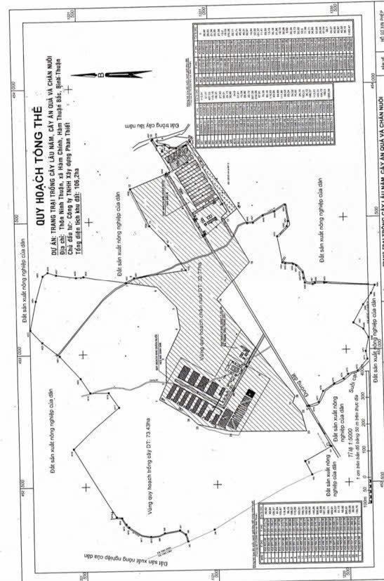 Farm 106.2ha Vĩnh Hảo - Phan Thiết - 200 Tỷ: Trồng Cây Ăn Quả, Chăn Nuôi Quy Mô Lớn