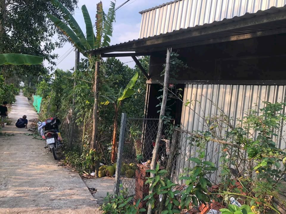 Đất vườn Tân Phước, Tiền Giang 10.000m² - Đầu tư dài hạn sinh lời!