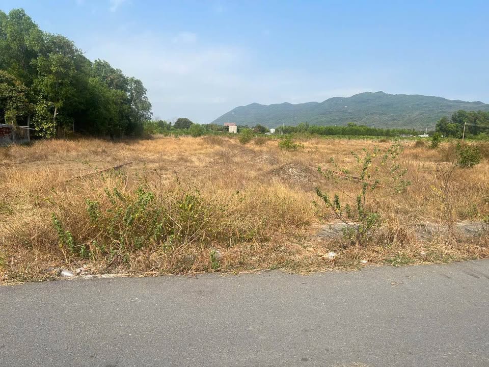 Đất nền Phú Mỹ 120m² - Đường to ô tô, sổ đỏ sẵn sàng!