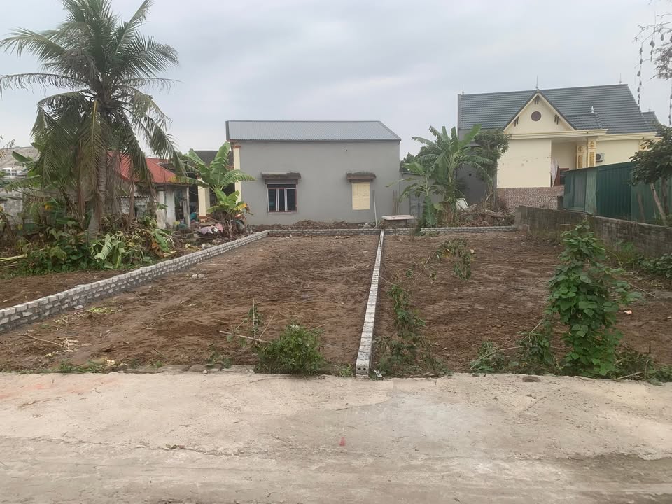 Bán Đất Tứ Kỳ 118m² - Mặt Tiền Kinh Doanh 5.2m - Sổ Đỏ Chính Chủ