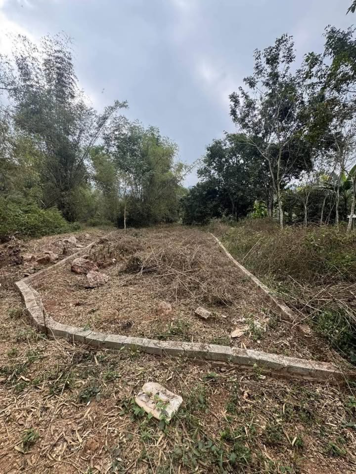 Bán đất Mai Châu Hòa Bình 380m² - Sổ đỏ thổ cư 100m²