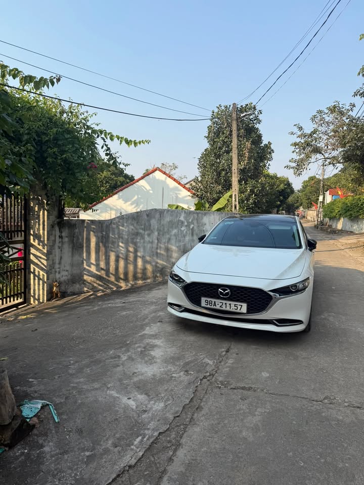 Đất nền Phương Sơn Lục Nam 1000m² - Tiềm năng phân lô, sổ đỏ sẵn!