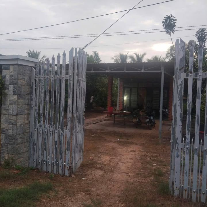 Đất nền Tân Biên 1600m² - Pháp lý rõ ràng, tiềm năng sinh lời!