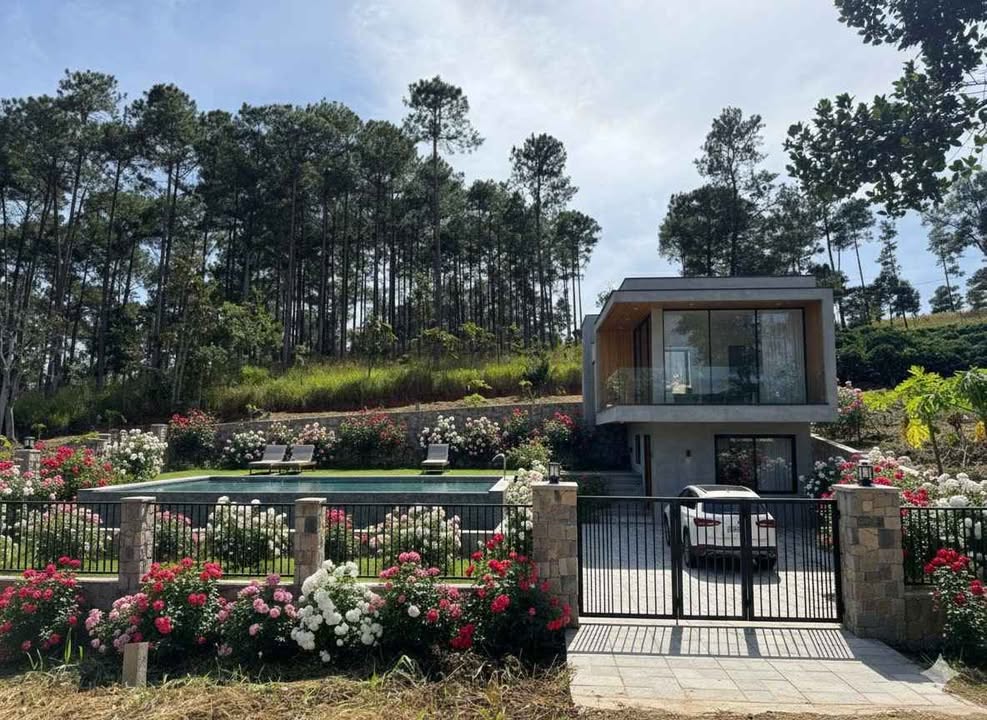 Bán đất Nam Ban Lâm Hà 222m² - Đất thổ cư 100%, cạnh đồi thông