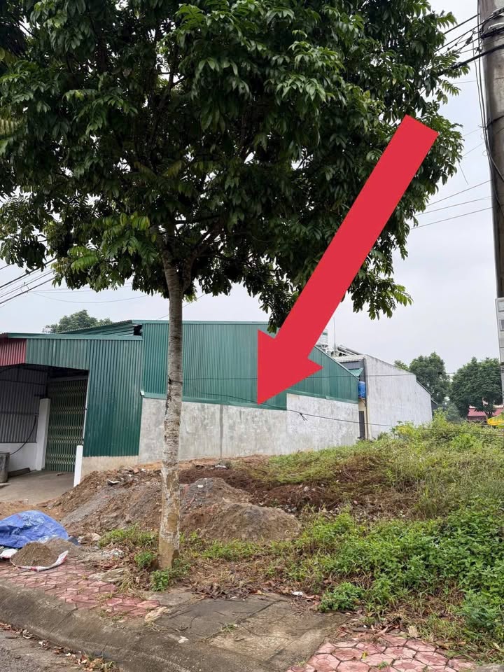 Đất nền Phố Lu 110m² giá 700 triệu - Sổ đỏ chính chủ!