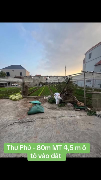 Đất Vĩnh Lộc - Thường Tín 80m² Sổ Đỏ Vuông Vắn - Ô Tô Ngủ Trong Đất