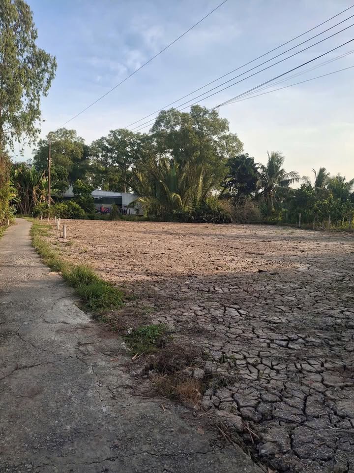 Đất nền Thạnh Lộc Châu Thành 110m² giá 200 triệu - Sổ đỏ chính chủ!