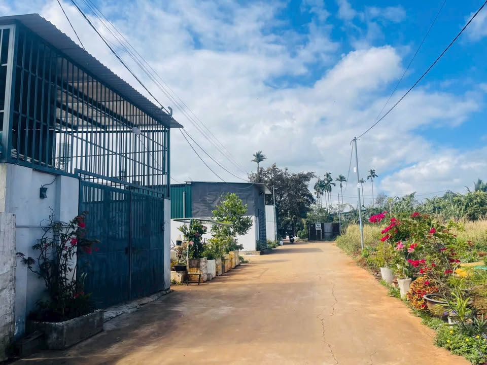 Đất nền Hẻm 66 Nguyễn Công Trứ BMT 90.72m² - Đất thổ cư 100%!