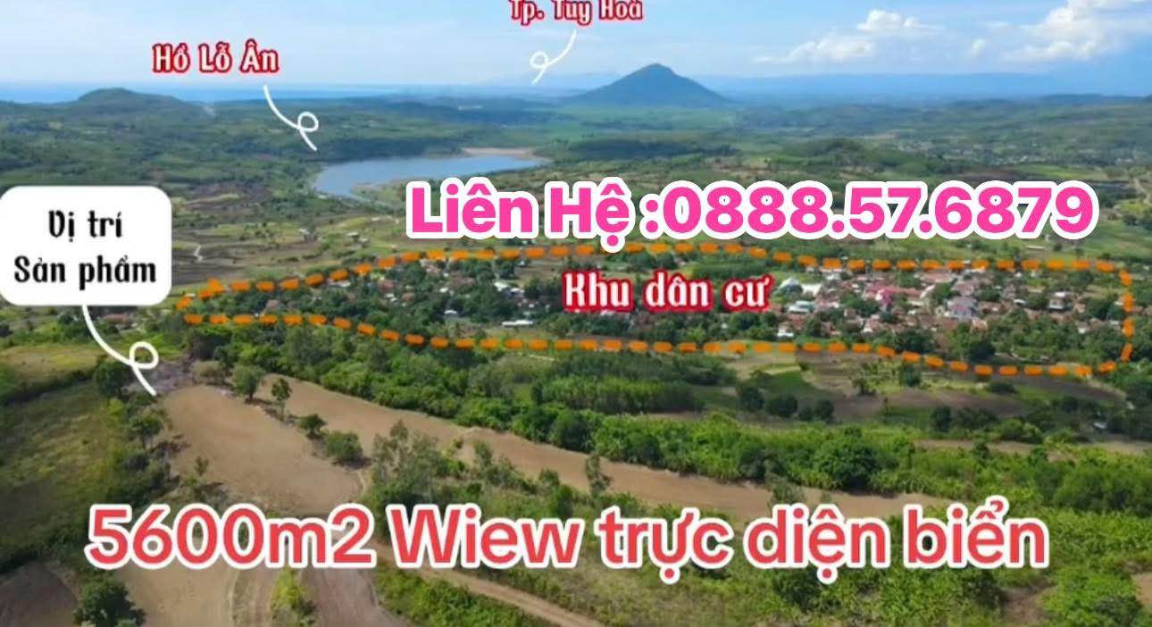 Bán Đất Vườn 5600m² Tỉnh Phú Yên - View Biển Đẹp, Sổ Hồng