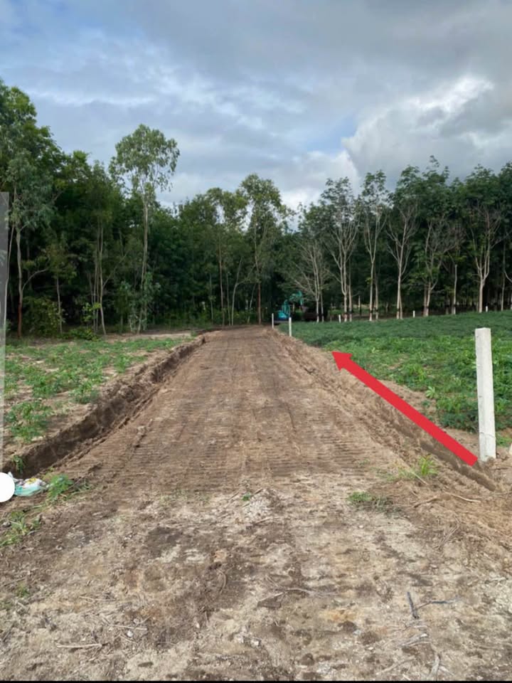 Đất nền Thôn 1, Hoà Bình, Kon Tum 1440m² chỉ 800 triệu - Tiềm năng tăng giá!