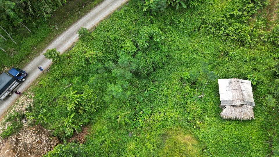 Đất vườn Chợ Đồn 6000m² giá chỉ 1xx triệu - Nghỉ dưỡng lý tưởng!